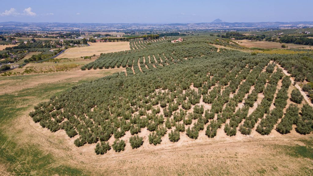 OP Latium 07 agosto 2024 76 LD